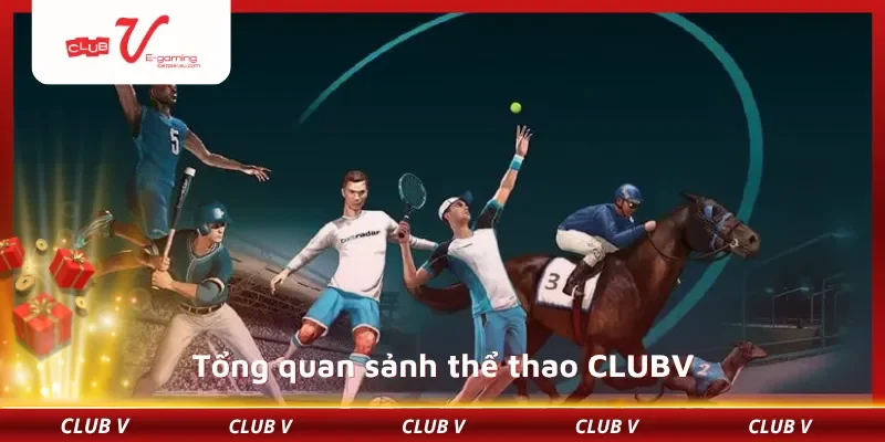 Tổng quan sảnh thể thao CLUBV